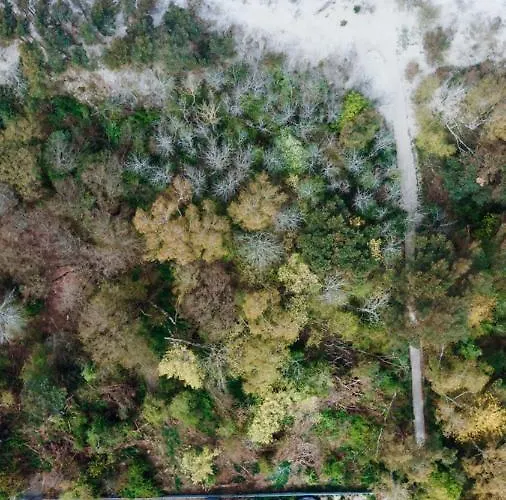 Na Wydmie * Dziwnówek